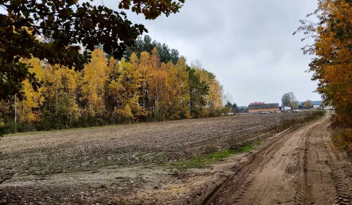 Działka budowlana Myszyniec Stary