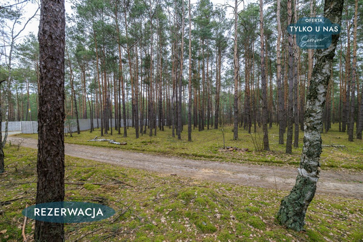 Działka leśna Kije. Zdjęcie 25