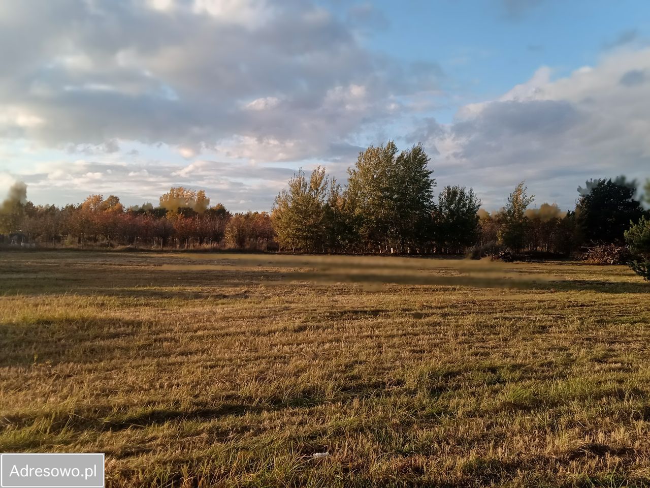 Działka budowlana Tarczyn, ul. Wąska. Zdjęcie 9