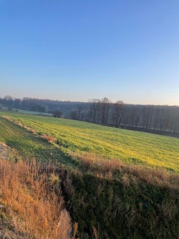 Działka rolna Poradów. Zdjęcie 1