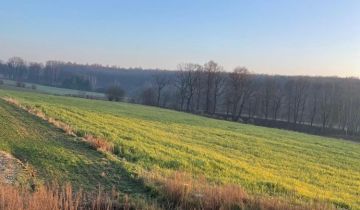 Działka rolna Poradów