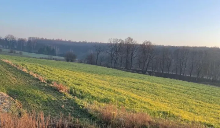 Działka rolna Poradów