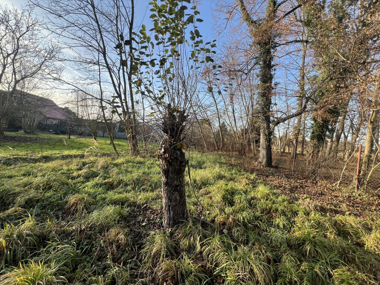 Działka inna Wrocław, ul. Graniczna. Zdjęcie 29