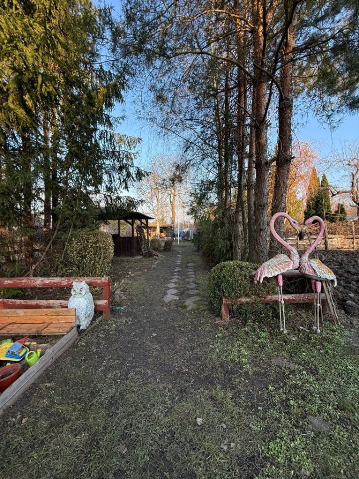 Mieszkanie 2-pokojowe Korsze, ul. Wojska Polskiego. Zdjęcie 2