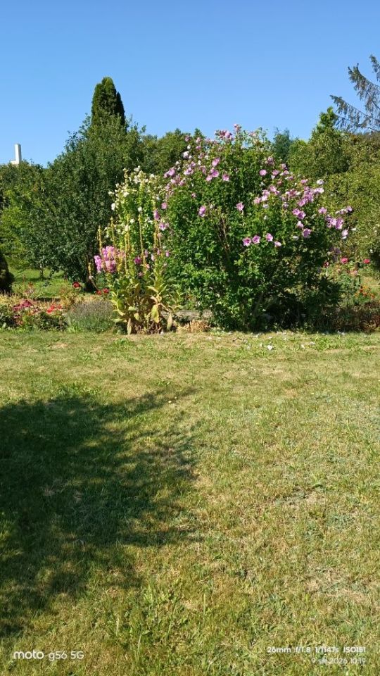Działka rod Chorzów Batory, ul. Podmiejska. Zdjęcie 6