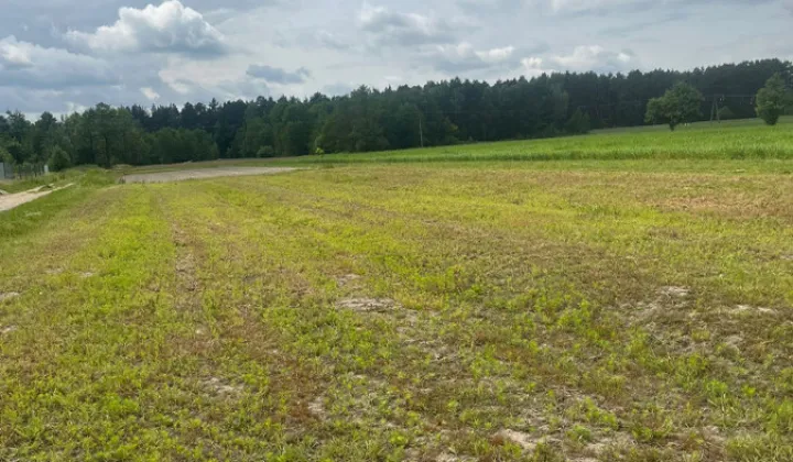 Działka budowlana Trzcinka