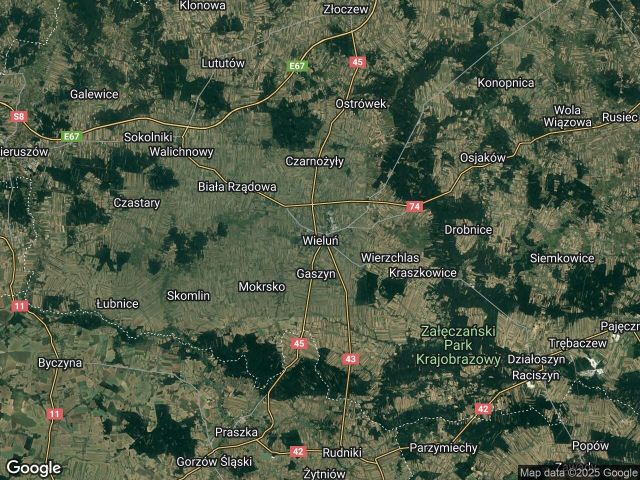 Lokal Wieluń. Zdjęcie 1