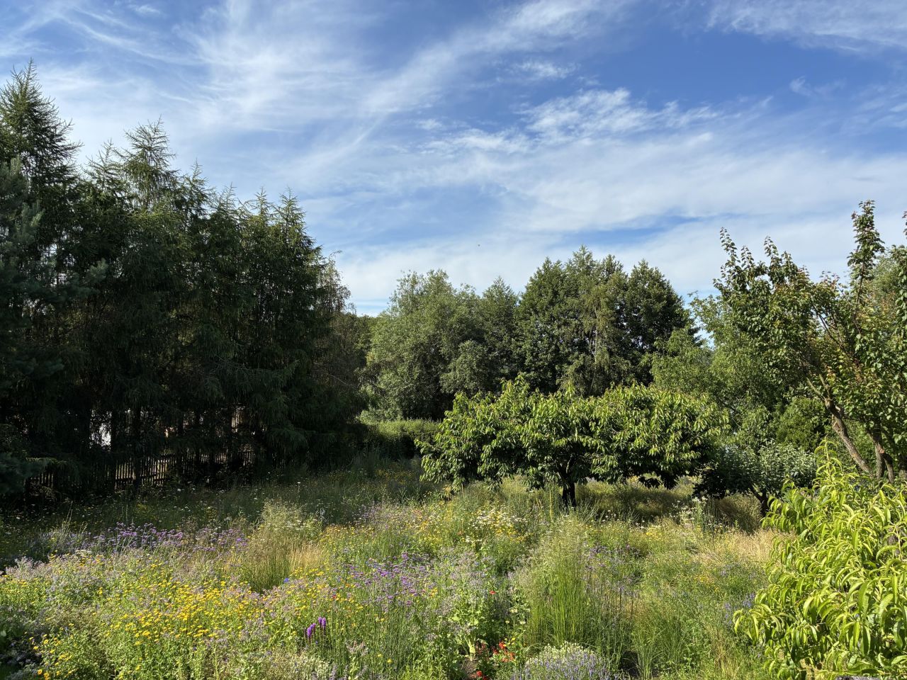 Działka rolno-budowlana Jerzyn. Zdjęcie 11