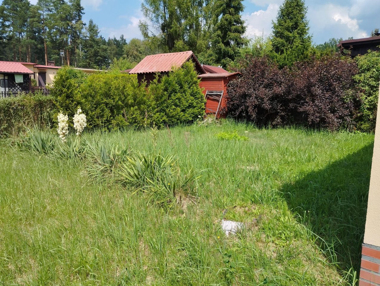 dom letniskowy, 3 pokoje Woźniki Śliwa, ul. Śliwa. Zdjęcie 4