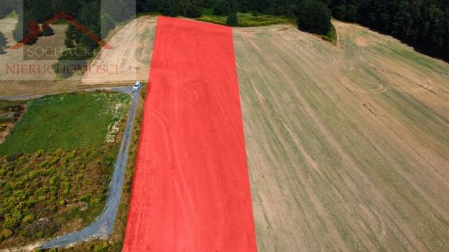 Działka inwestycyjna Olszyna. Zdjęcie 2