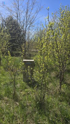 Działka budowlana Janów. Zdjęcie 4