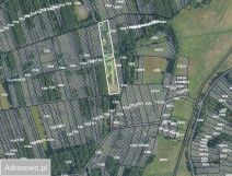 Działka rolna Dąbrówka. Zdjęcie 3