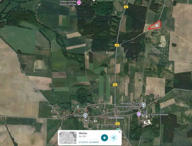 Działka rolna Golina. Zdjęcie 1