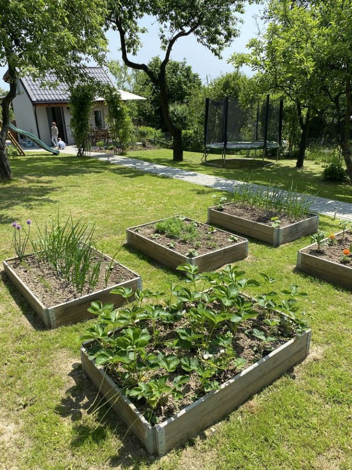 Działka rod Jastrzębie-Zdrój, ul. Okopowa. Zdjęcie 8