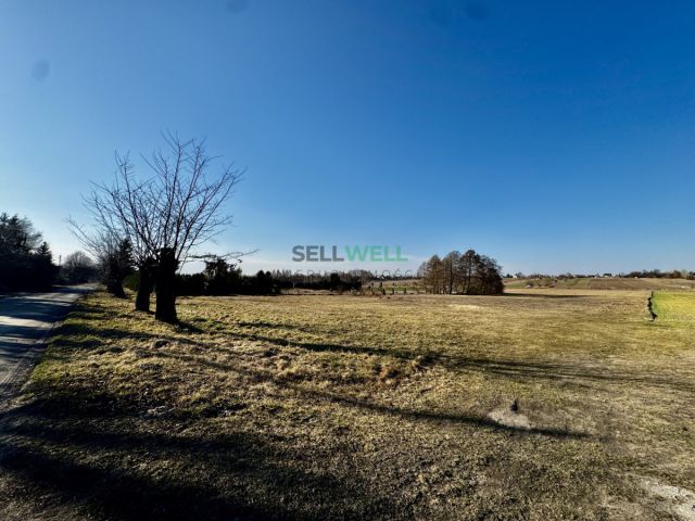 dom wolnostojący, 5 pokoi Aleksandrów Łódzki, ul. Wdzięczna. Zdjęcie 14