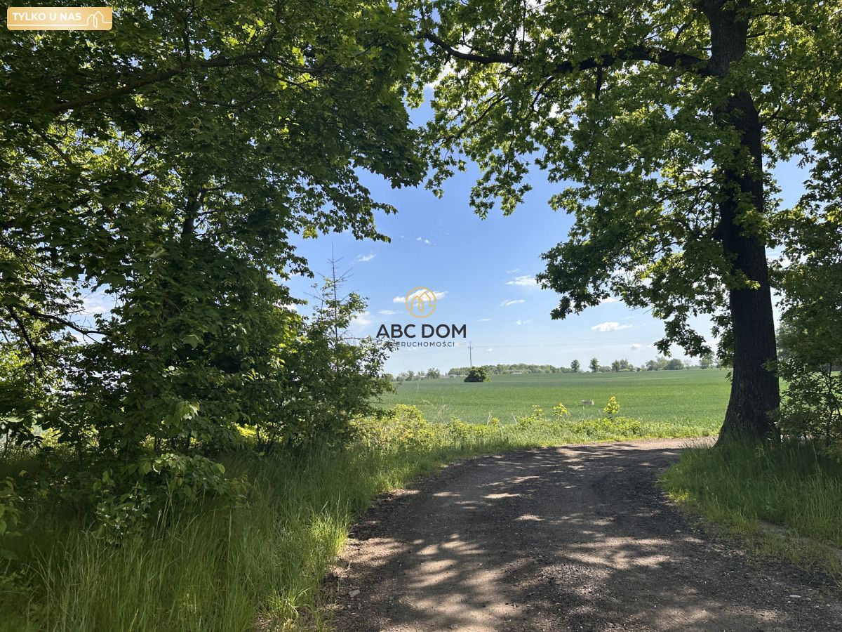 dom szeregowy, 2 pokoje Żuława, ul. Lipowa. Zdjęcie 2
