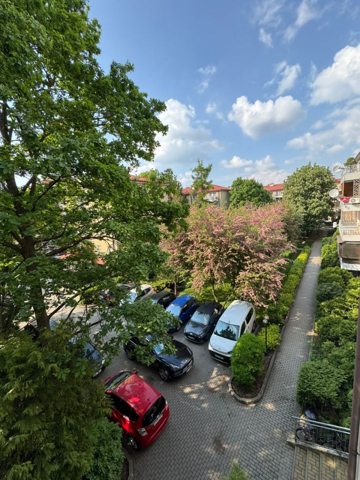 Mieszkanie 2-pokojowe Siedlce Centrum, ul. 10 Lutego. Zdjęcie 5