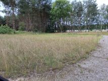 Działka budowlana Kolonia Osiek. Zdjęcie 1