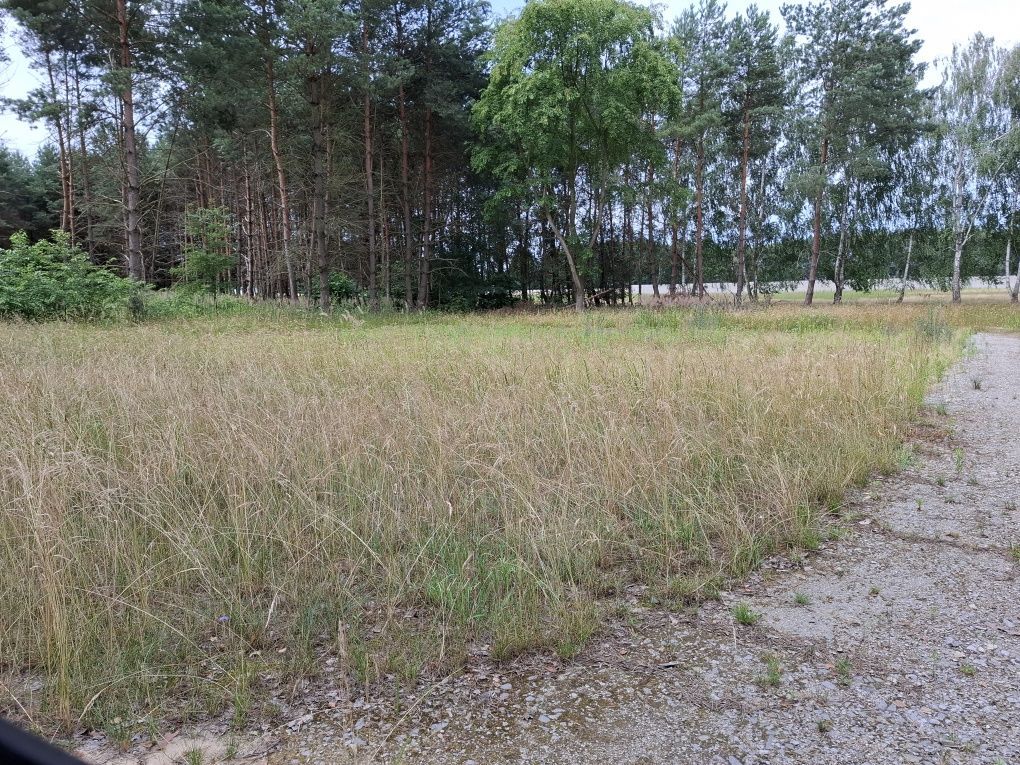 Działka budowlana Kolonia Osiek. Zdjęcie 2