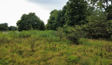 Działka rolno-budowlana Cybulin