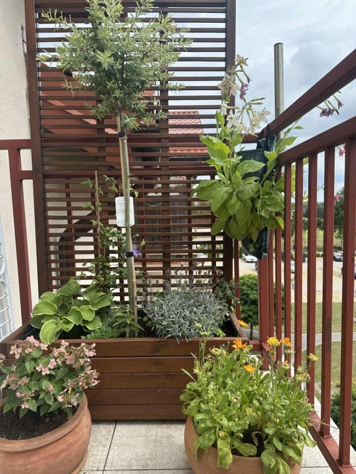 Mieszkanie 3-pokojowe Działdowo. Zdjęcie 5