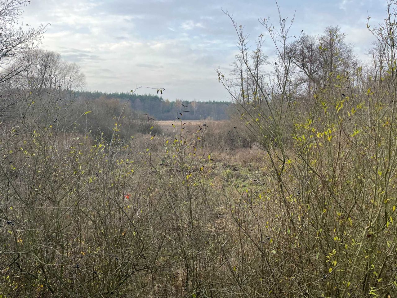 Działka rekreacyjna Nowy Prażmów. Zdjęcie 7