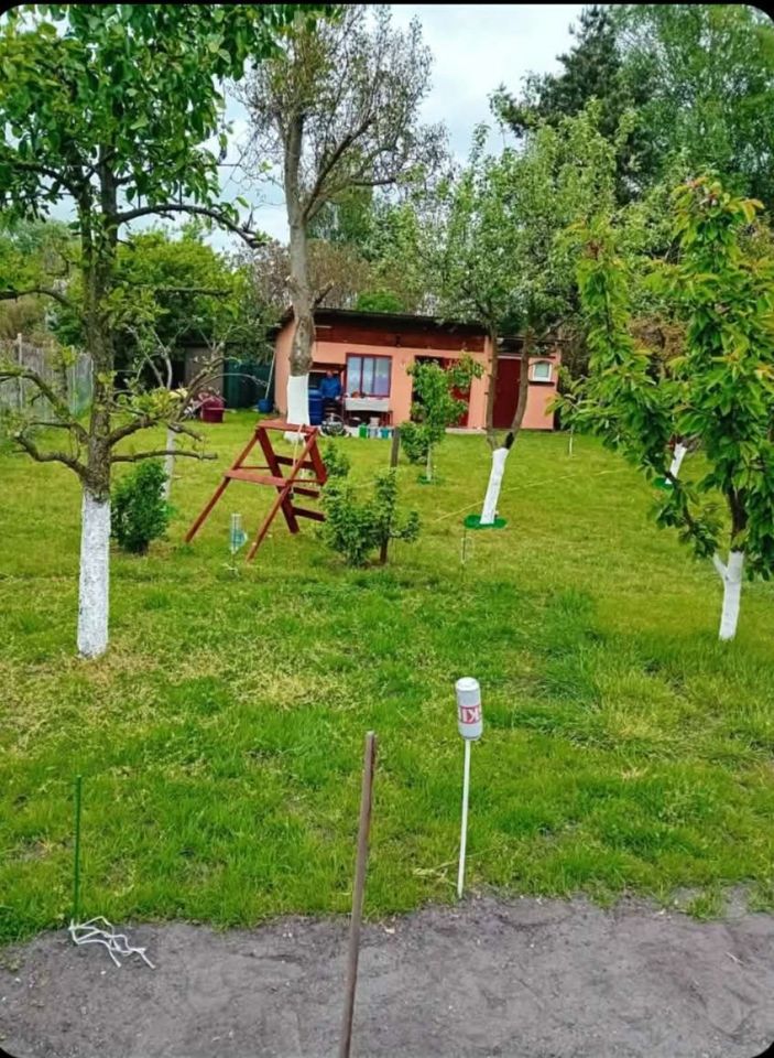 Działka rod Chełmża, ul. gen. Józefa Hallera. Zdjęcie 1