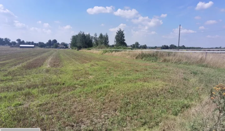 Działka inwestycyjna Orzesze, ul. Modrzewiowa