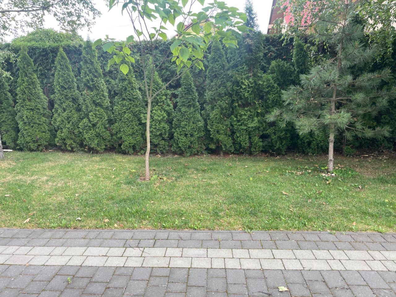 dom wolnostojący Nowa Wieś, telefon. Zdjęcie 8