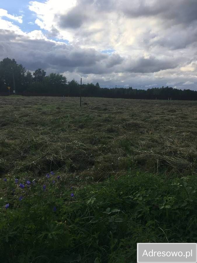 Działka inwestycyjna Rucianka. Zdjęcie 3