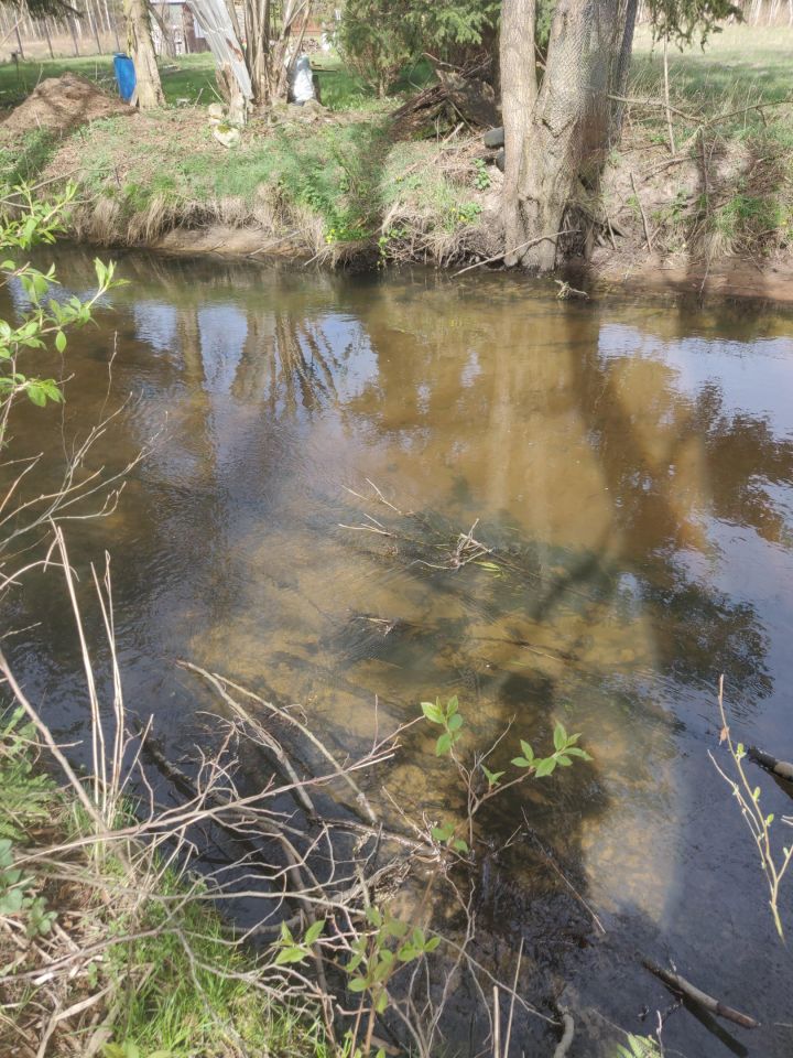 Działka rekreacyjna Rząsawa. Zdjęcie 4