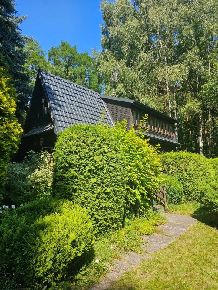 Działka rekreacyjna Zawiercie Skarżyce. Zdjęcie 6