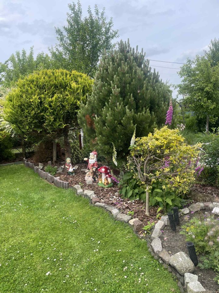 Działka rod Żory, ul. Okrężna. Zdjęcie 7