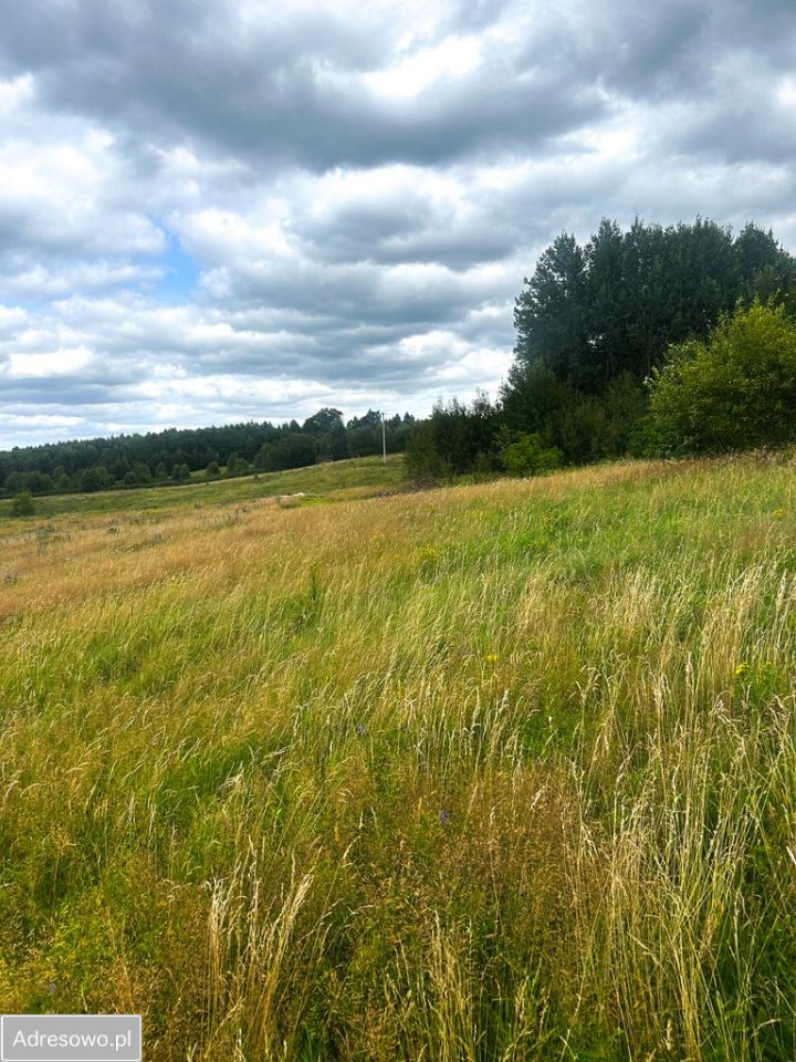 Działka budowlana Trzepowo, ul. Racibora. Zdjęcie 8