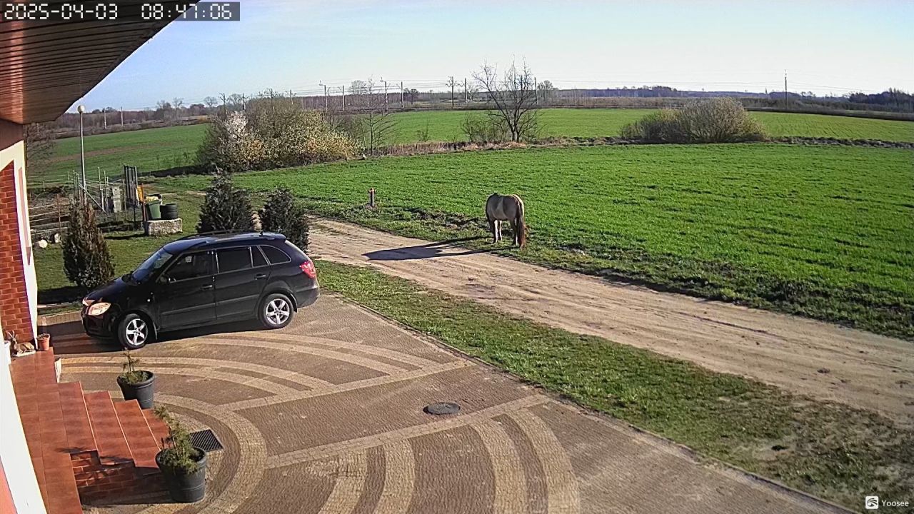 gospodarstwo Dębiec. Zdjęcie 7