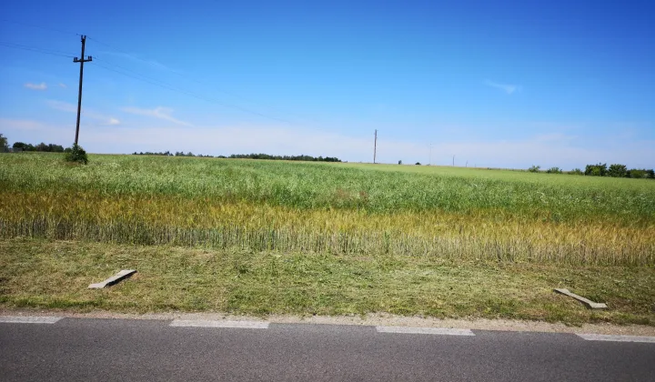 Działka budowlana Kuchary, ul. Mstowska