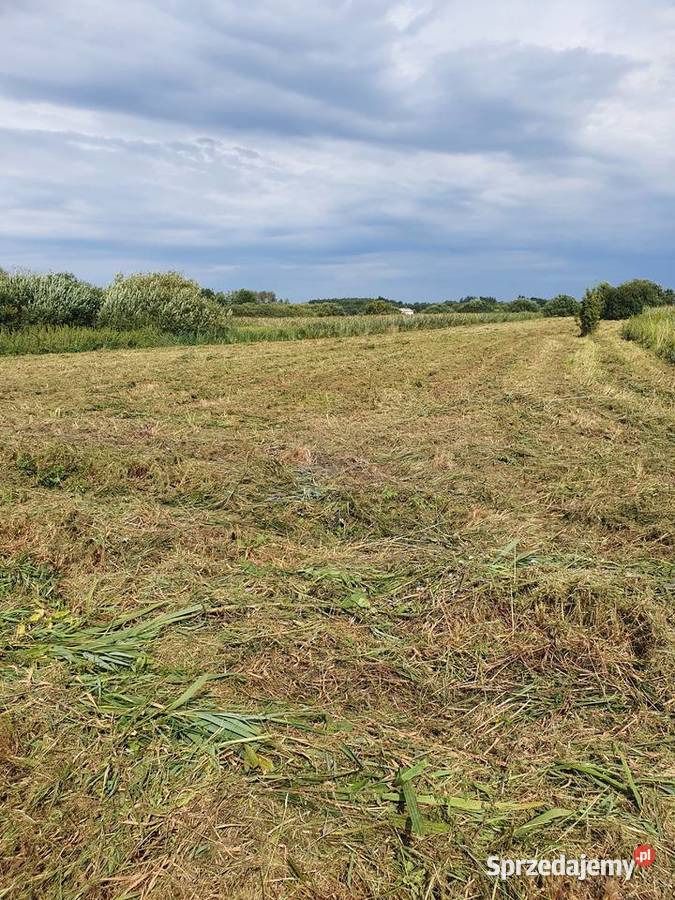 Działka rolna Podgłębokie. Zdjęcie 2