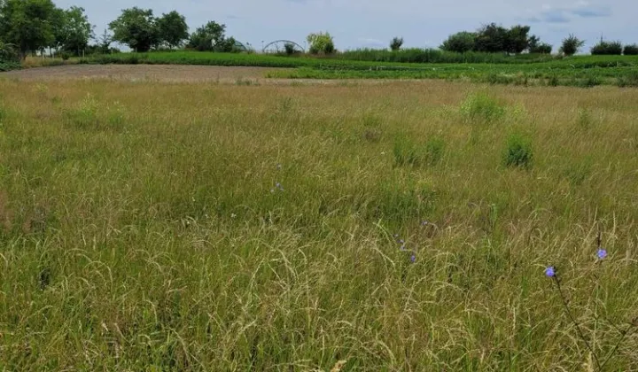 Działka budowlana Przysieka Polska