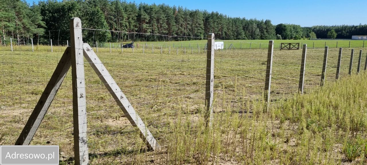 Działka rekreacyjna Huta-Chojno. Zdjęcie 8