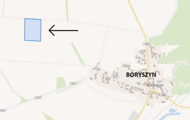 Działka rolna Boryszyn. Zdjęcie 1