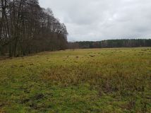 Działka inwestycyjna Wiesiółka. Zdjęcie 2