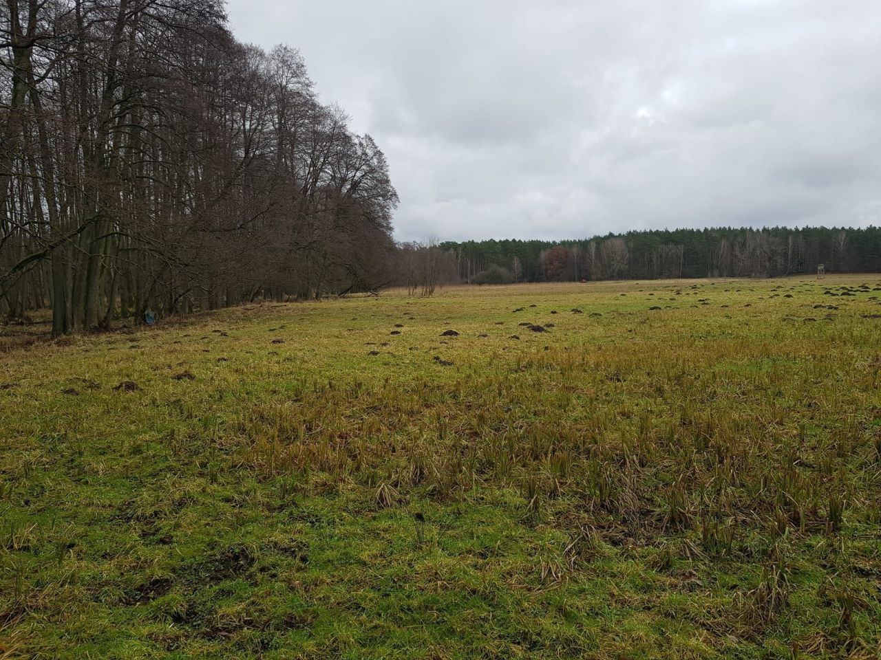 Działka inwestycyjna Wiesiółka. Zdjęcie 3