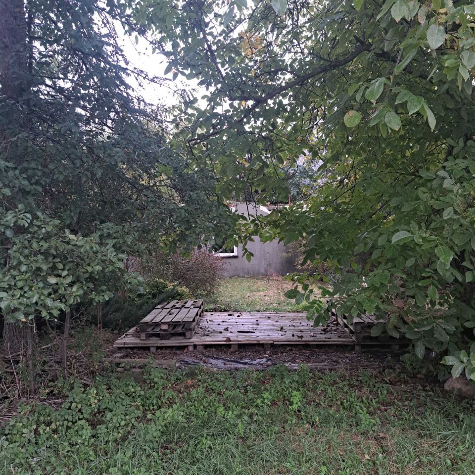 Działka rolno-budowlana Szczawin. Zdjęcie 4