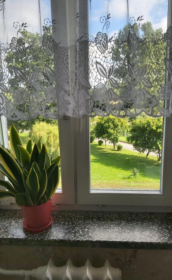 Mieszkanie 3-pokojowe Tolko. Zdjęcie 8