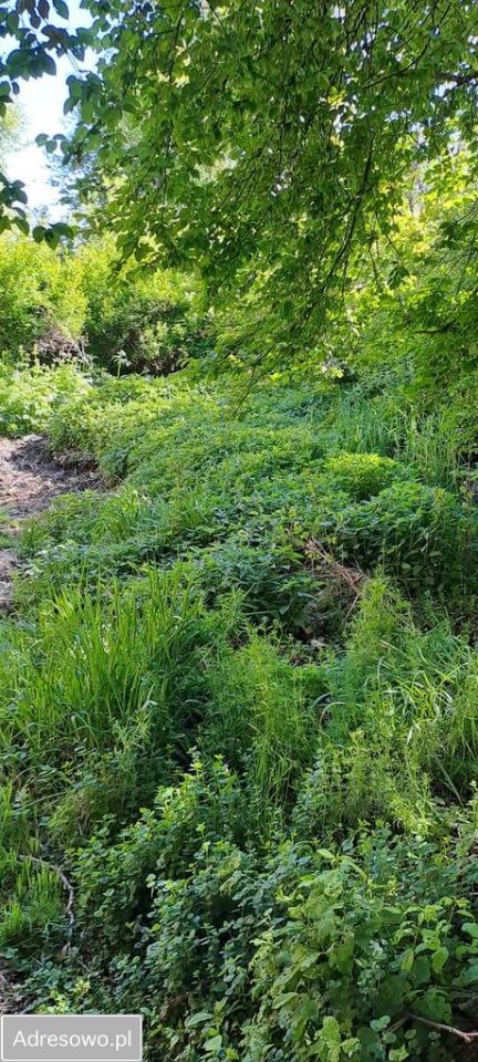 Lokal Polanów, ul. Młyńska. Zdjęcie 3