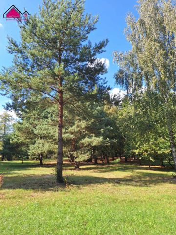 Działka rekreacyjna Cegielnia. Zdjęcie 11