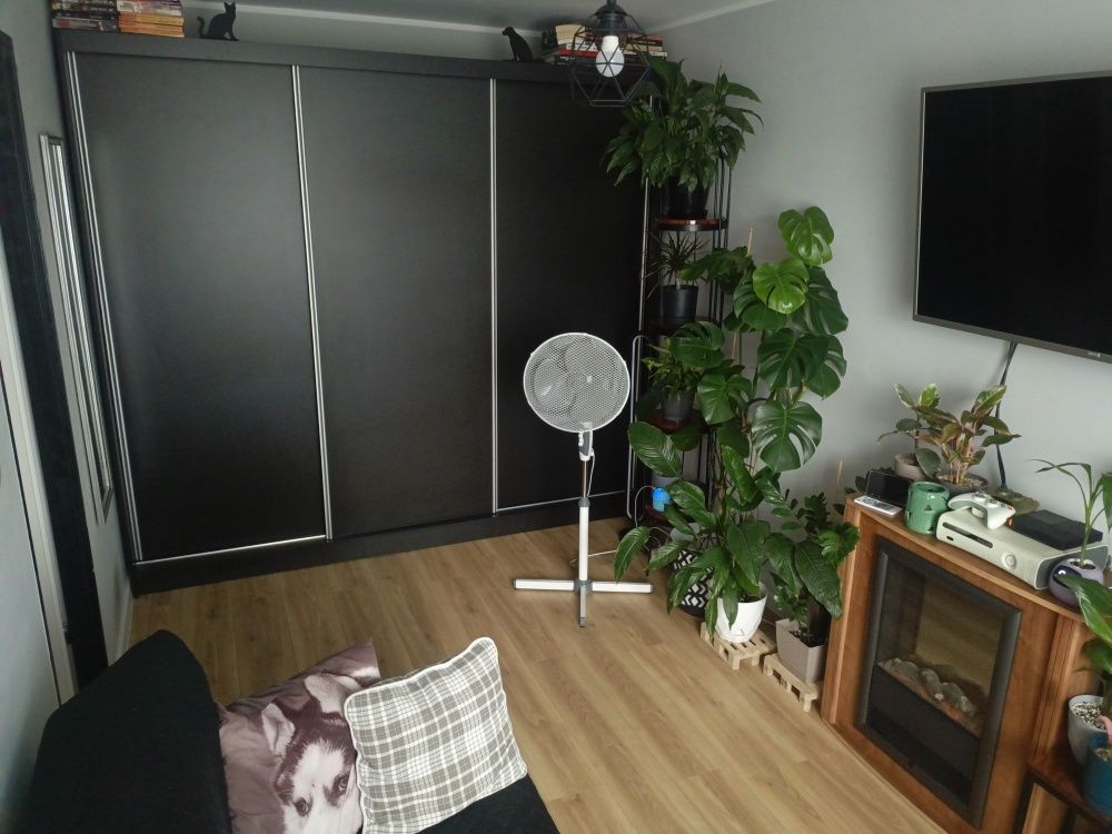 Mieszkanie 2-pokojowe Marciszów, ul. Główna. Zdjęcie 2