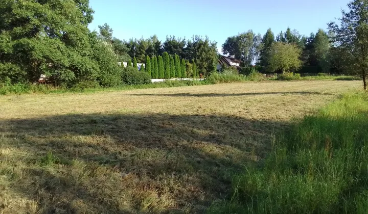 Działka rolna Wola Filipowska Pasternik, ul. Złota Dolina