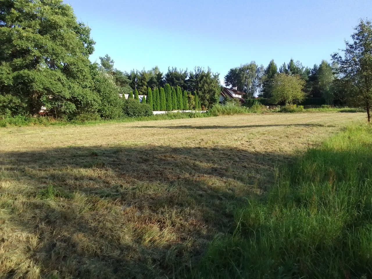 Działka rolna Wola Filipowska Pasternik, ul. Złota Dolina. Zdjęcie 1