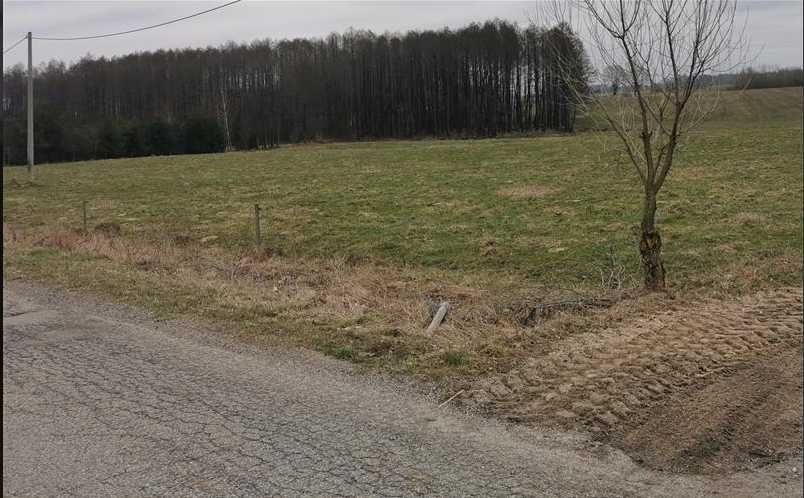 Działka Suchorzec. Zdjęcie 2